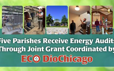 Five Congregations Receive Energy Audits Through Joint Grant Coordinated by ECO DioChicago