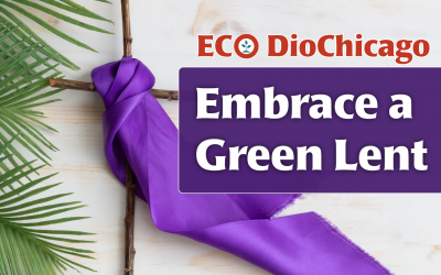 Eco DioChicago Invites You to Embrace a Greener Lent