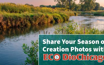 Share Your Season of Creation Photos