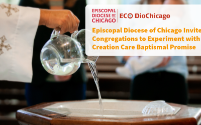 Episcopal Diocese of Chicago Invites Congregations to Experiment with Creation Care Baptismal Promise